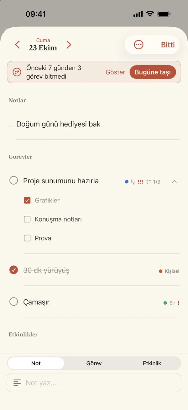 Gün düzenleyicisi: notlar, alt görevlere bölünmüş bir görev, kategoriler ve öncelik işaretleri